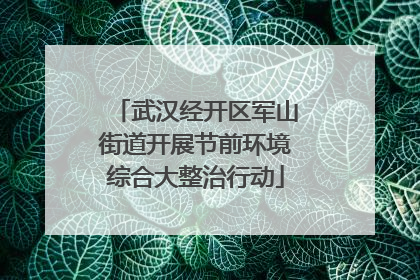 武汉经开区军山街道开展节前环境综合大整治行动