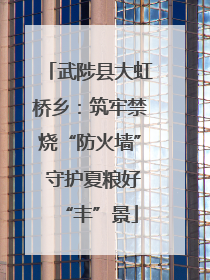 武陟县大虹桥乡：筑牢禁烧“防火墙” 守护夏粮好“丰”景