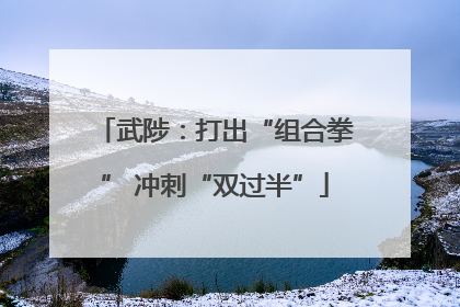 武陟：打出“组合拳” 冲刺“双过半”