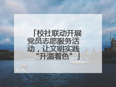 校社联动开展党员志愿服务活动，让文明实践“升温着色”