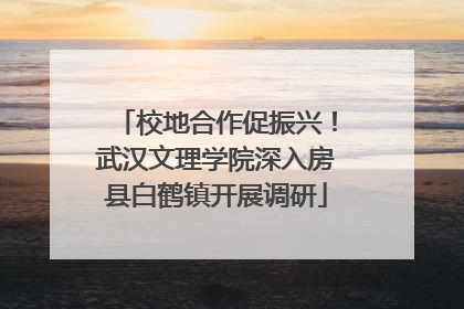 校地合作促振兴！武汉文理学院深入房县白鹤镇开展调研