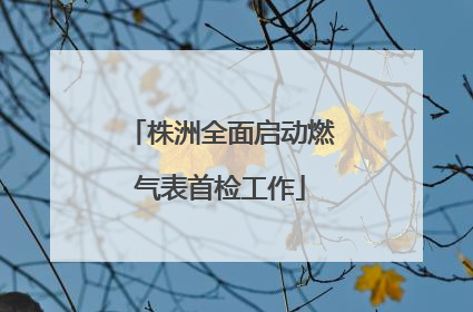 株洲全面启动燃气表首检工作