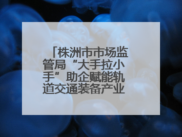 株洲市市场监管局“大手拉小手”助企赋能轨道交通装备产业链质量升级