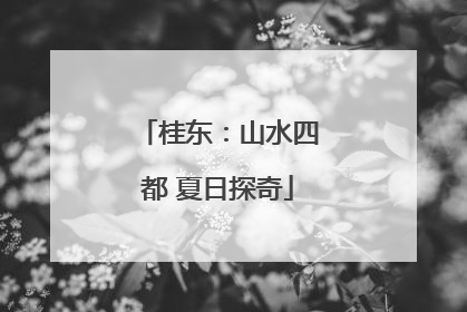 桂东：山水四都 夏日探奇