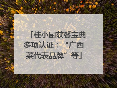 桂小厨获餐宝典多项认证：“广西菜代表品牌”等