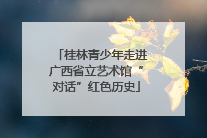 桂林青少年走进广西省立艺术馆“对话”红色历史