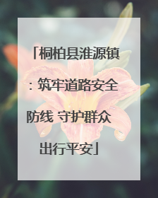 桐柏县淮源镇：筑牢道路安全防线 守护群众出行平安