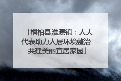 桐柏县淮源镇：人大代表助力人居环境整治 共建美丽宜居家园