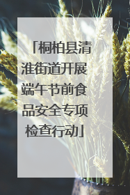 桐柏县清淮街道开展端午节前食品安全专项检查行动