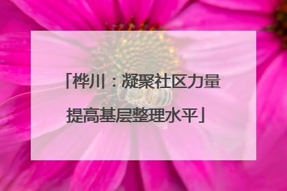 桦川:凝聚社区力量 提高基层整理水平