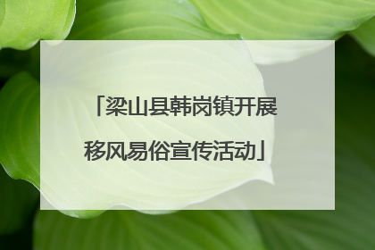 梁山县韩岗镇开展移风易俗宣传活动