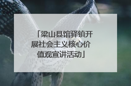梁山县馆驿镇开展社会主义核心价值观宣讲活动