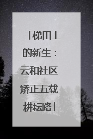 梯田上的新生：云和社区矫正五载耕耘路