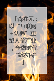 森参元：以“互联网+认养”重塑人参产业，争做时代“新农民”