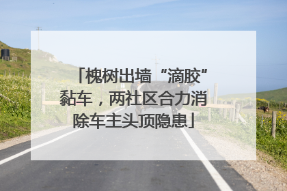 槐树出墙“滴胶”黏车，两社区合力消除车主头顶隐患