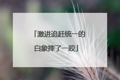 激进追赶统一的白象摔了一跤