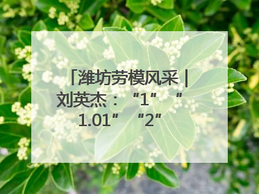 潍坊劳模风采｜刘英杰：“1”“1.01”“2”背后的奋斗密码