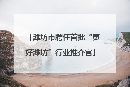 潍坊市聘任首批“更好潍坊”行业推介官