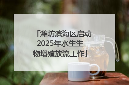 潍坊滨海区启动2025年水生生物增殖放流工作