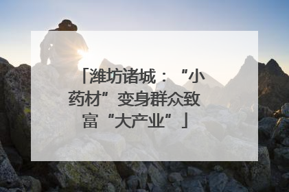 潍坊诸城：“小药材”变身群众致富“大产业”