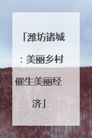 潍坊诸城：美丽乡村催生美丽经济