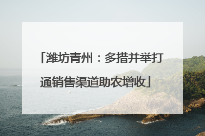潍坊青州：多措并举打通销售渠道助农增收