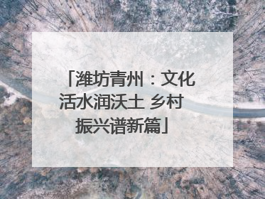 潍坊青州：文化活水润沃土 乡村振兴谱新篇