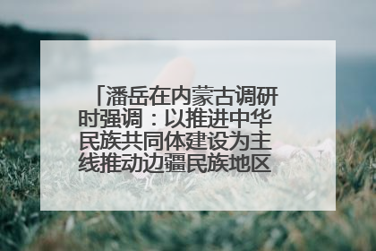 潘岳在内蒙古调研时强调：以推进中华民族共同体建设为主线推动边疆民族地区高质量发展