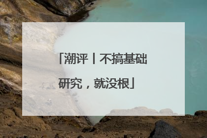 潮评丨不搞基础研究，就没根