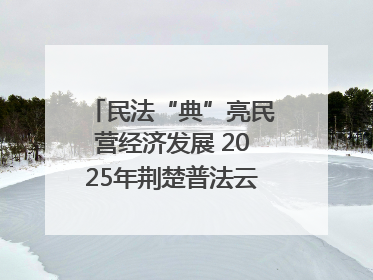 民法“典”亮民营经济发展 2025年荆楚普法云课堂第二期在武汉客厅开讲