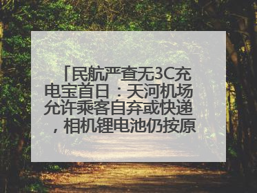 民航严查无3C充电宝首日：天河机场允许乘客自弃或快递，相机锂电池仍按原规定执行