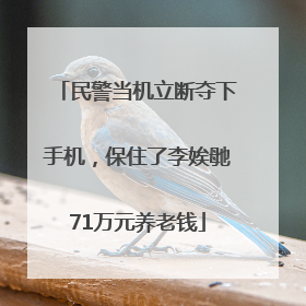 民警当机立断夺下手机，保住了李娭毑71万元养老钱