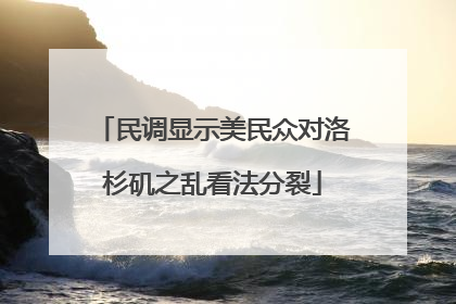 民调显示美民众对洛杉矶之乱看法分裂