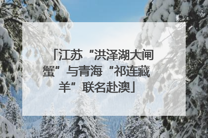 江苏“洪泽湖大闸蟹”与青海“祁连藏羊”联名赴澳