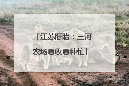 江苏盱眙：三河农场夏收夏种忙