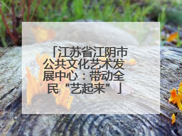 江苏省江阴市公共文化艺术发展中心：带动全民“艺起来”