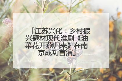 江苏兴化：乡村振兴题材现代淮剧《油菜花开燕归来》在南京成功首演