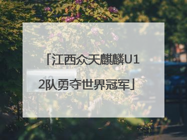 江西众天麒麟U12队勇夺世界冠军