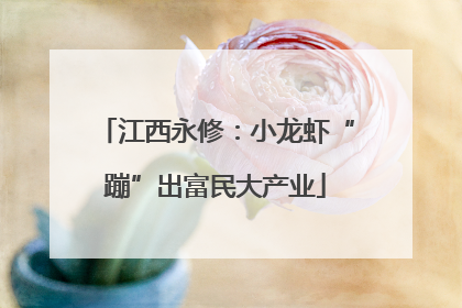 江西永修：小龙虾“蹦”出富民大产业