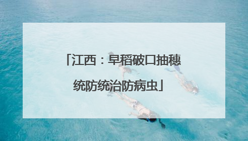 江西：早稻破口抽穗 统防统治防病虫