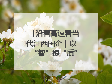 沿着高速看当代江西国企｜以“智”提“质”！贵冶数字化转型迈出新步伐