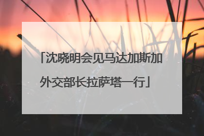 沈晓明会见马达加斯加外交部长拉萨塔一行