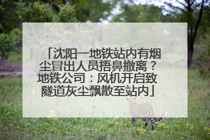 沈阳一地铁站内有烟尘冒出人员捂鼻撤离？地铁公司：风机开启致隧道灰尘飘散至站内