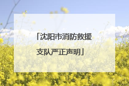 沈阳市消防救援支队严正声明