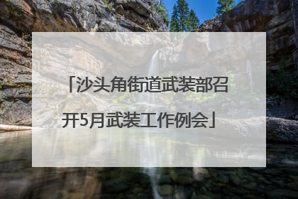 沙头角街道武装部召开5月武装工作例会