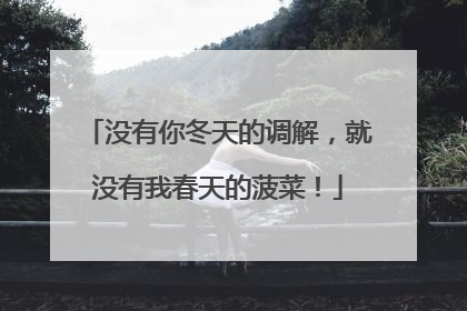 没有你冬天的调解，就没有我春天的菠菜！