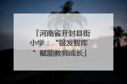 河南省开封县街小学：“银发智库”赋能教师成长