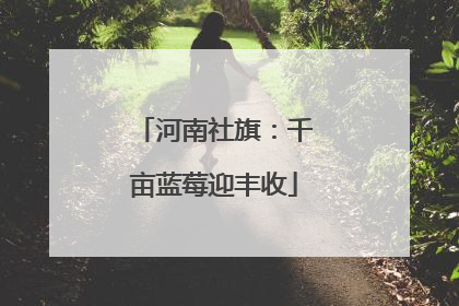 河南社旗：千亩蓝莓迎丰收
