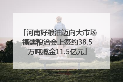 河南好粮油迈向大市场 福建粮洽会上签约38.5万吨揽金11.5亿元