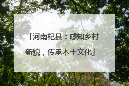 河南杞县：感知乡村新貌，传承本土文化